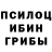 Галлюциногенные грибы Magic Shrooms apoMASHINAA 137IQ