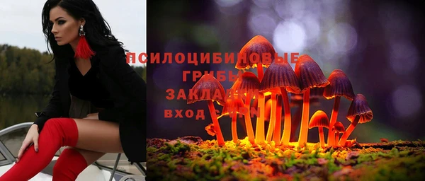 a pvp Арсеньев